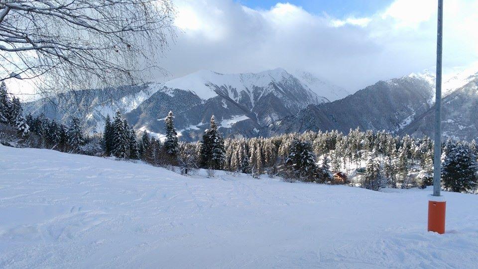 Dodo Japaridze Guesthouse Mestia Exteriör bild